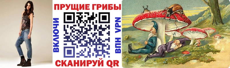 где купить наркоту  Заозёрск  Псилоцибиновые грибы MAGIC MUSHROOMS 